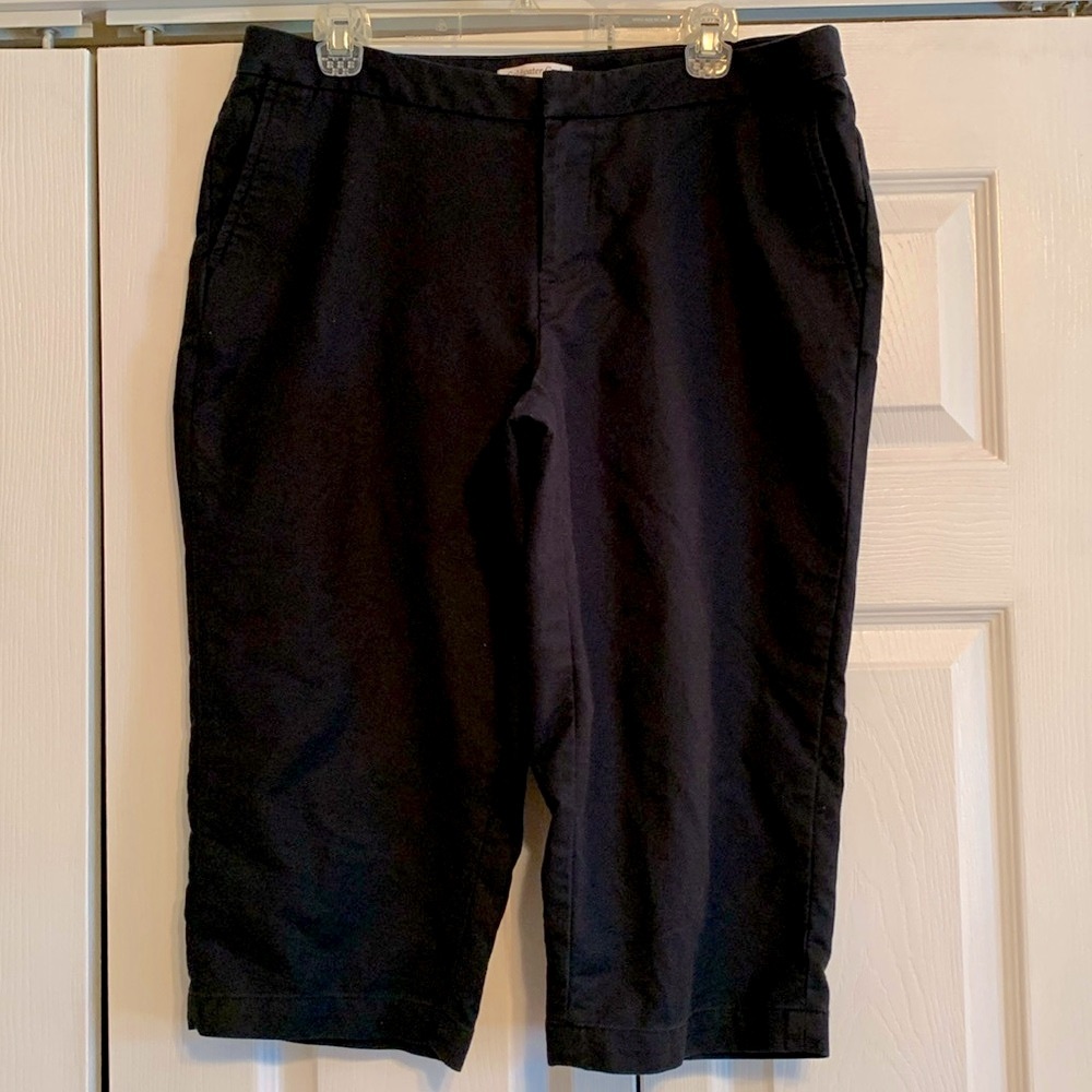 Coldwater creek, tailored dress Capri Shorts, flat front, size 16p, EUC